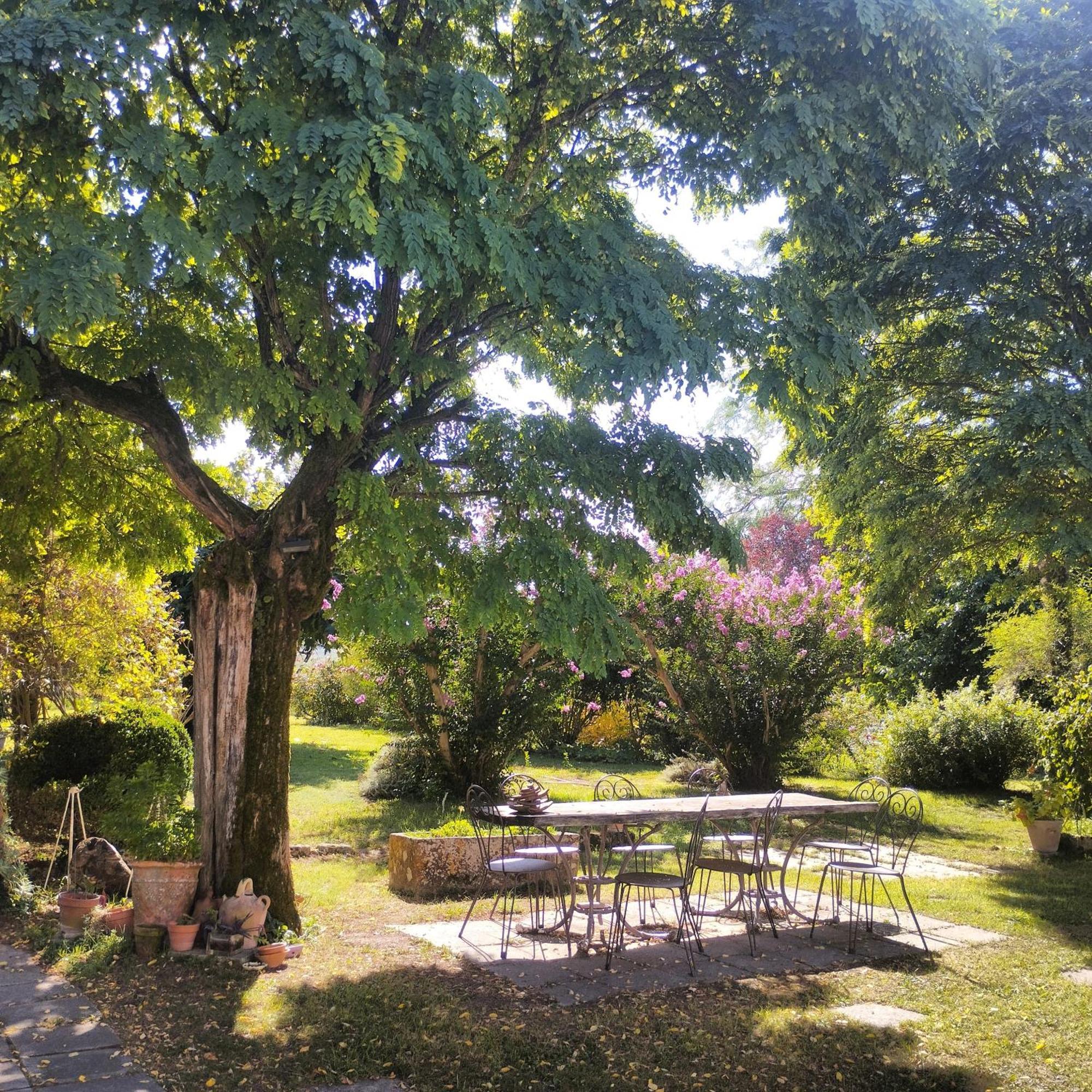 Damechouette Bed and Breakfast Pujols  Exteriör bild