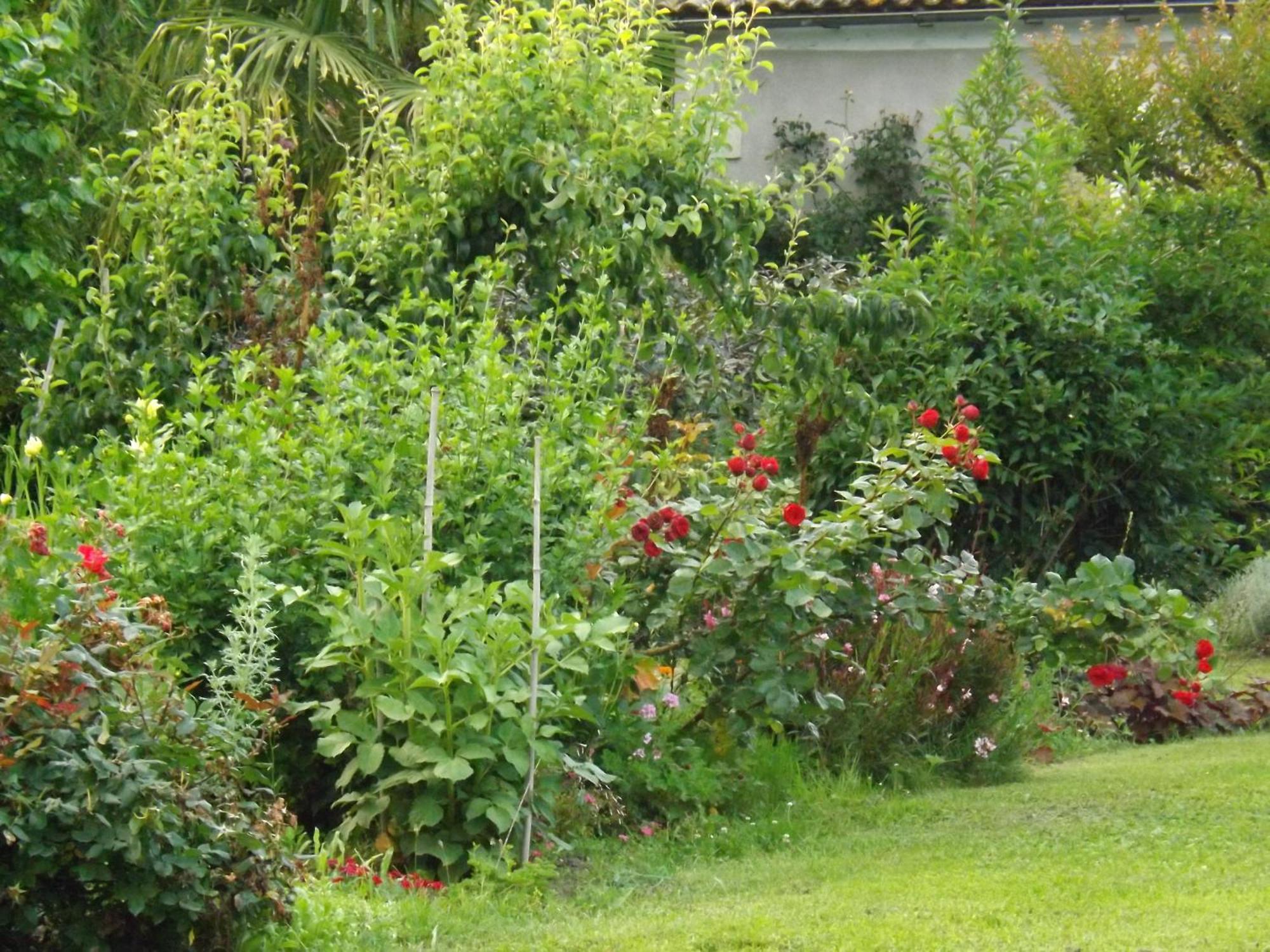 Damechouette Bed and Breakfast Pujols  Exteriör bild